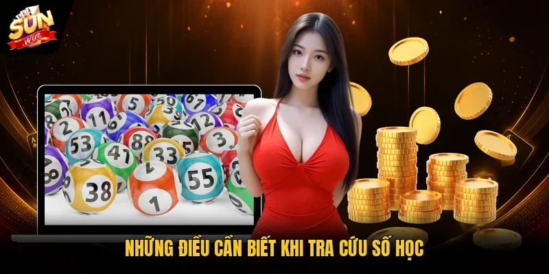 Những điều cần biết khi tra cứu số học